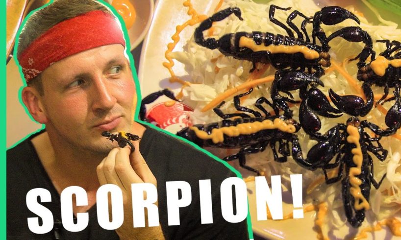 Eating Scorpion in Vietnam! | Bizarre Food Of Vietnam