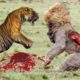 Most Amazing Wild Animal Attacks #9 - Craziest Animal Fights Caught On Camera