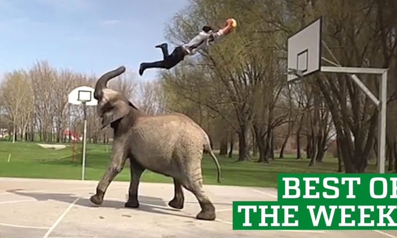 Best Videos of the Week - People Are Awesome