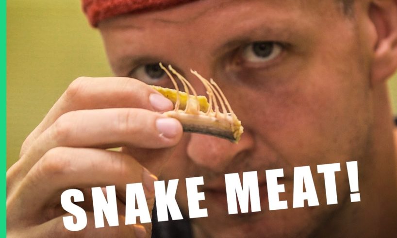 9 Reasons to eat snake in Taiwan