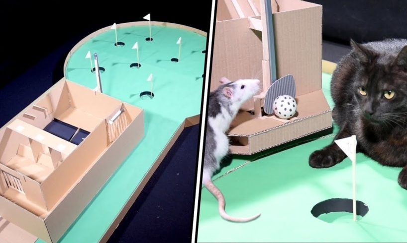 ANIMALS play MINI GOLF - Fun TOURNAMENT BETWEEN PETS and DIY TUTORIAL