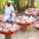 Chicken Yakhni | Masala Chicken Yakhni Pulao | Nawabs kitchen