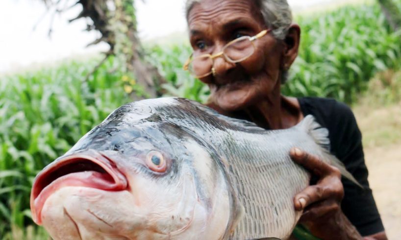 Fish Fry Recipe || Simple and Delicious Fish Fry By My Granny's