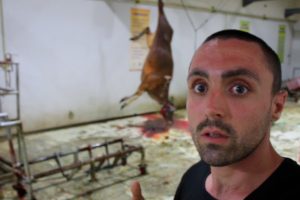 Vegan Witnesses INSANE Halal Slaughter