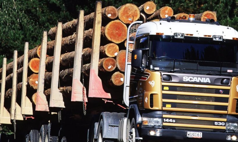 "Final Destination" in real life! (Accidents with timber trucks)