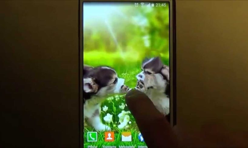 Cute puppies - beautiful free live wallpaper for android phones and tablets