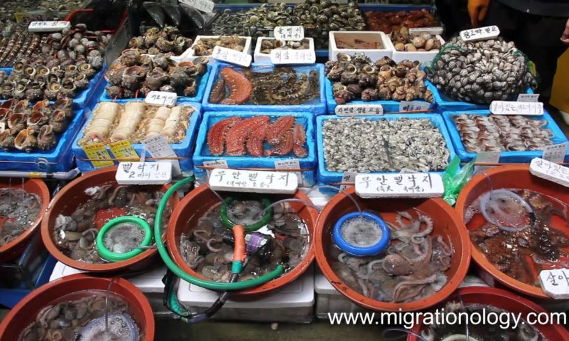 Fresh Seafood at Noryangjin Fish Market in Seoul, South Korea