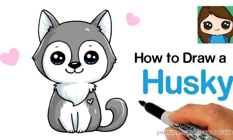 How to Draw a Husky Puppy Easy