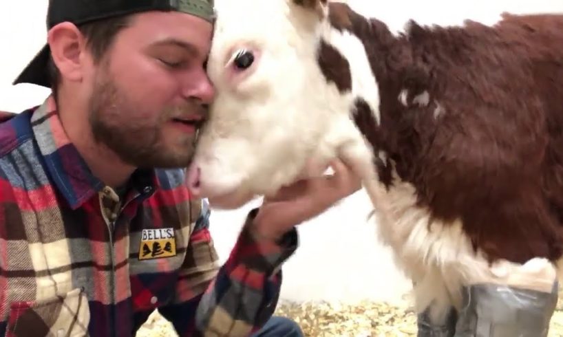 Rescued Animals Receiving Love for the First Time