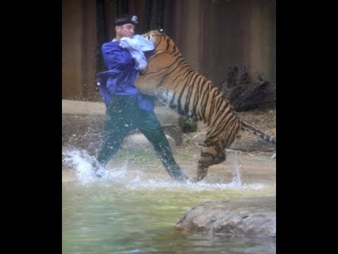 When Zoo Animals Attack Compilation Part 3