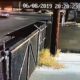 live leak video #18 - Car flees scene after hitting woman in North Las Vegas walking dog