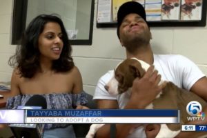 "Pawther's Day" adoption specials at Peggy Adams Animal Rescue League