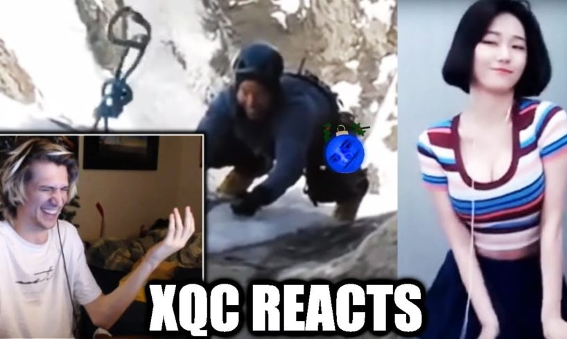 xQc and Moxy React to LIKE  A BOSS COMPILATION AMAZING Videos and NEAR DEATH