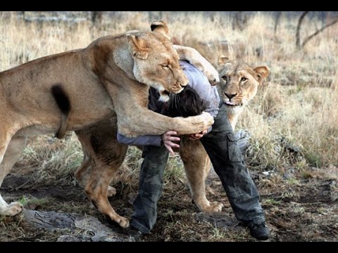 10 CRAZIEST Animal Fights Caught On Camera!