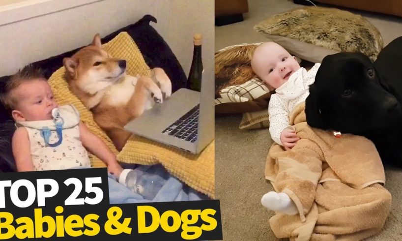 25 Cute Babies And Dogs - 2019