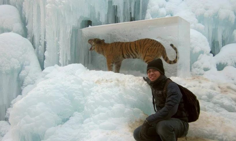 Animals Found FROZEN In Ice! (part 2)