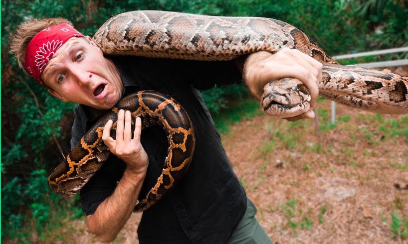 Catching and COOKING Florida’s MOST Dangerous Killer! (HAND CAUGHT!!!)