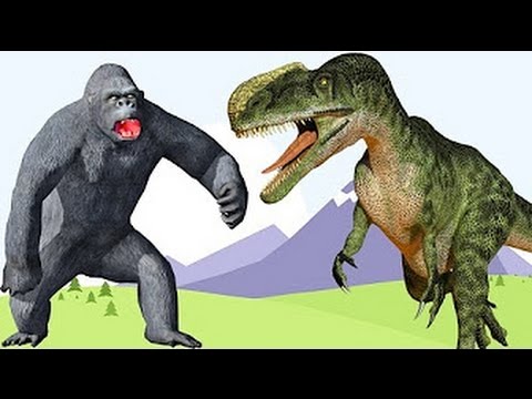 Crocodile VS Gorilla Fight | Rhymes For Childerns | Animal Fights for Childerens || TSP Kids Rhymes