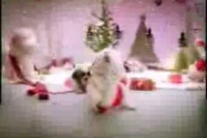 Cute puppies singing a christmas song!!!