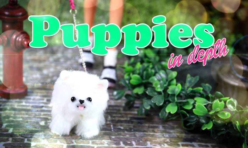 DIY - How to Make: Cute Doll Puppies - In Depth - Handmade - Craft - 4K