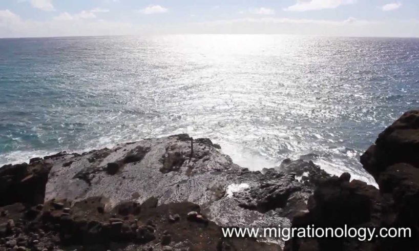 Oahu Island, Hawaii (in HD Video)