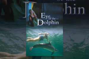 Eye of the Dolphin