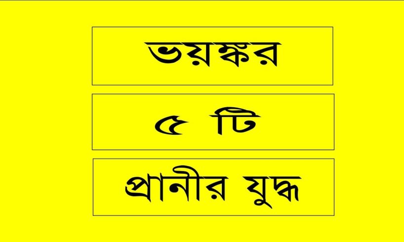 Top 5 savage animal fights | ৫টি প্রানির জগরা | the xerox ltd