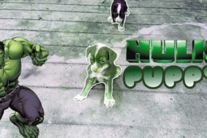 Cute puppies | Hulk Green Dog | Paw | Part 2