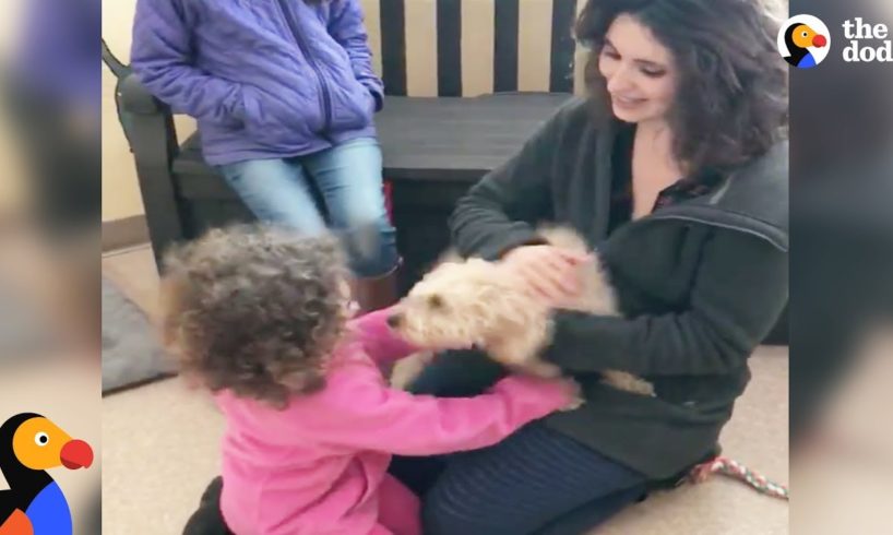 Dog Reunited with Family Gets So Happy After She Recognizes Their Scent | The Dodo