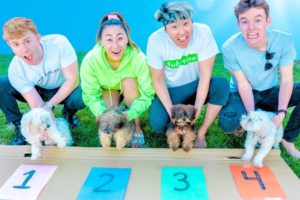 FASTEST PUPPY WINS $10,000 DOLLARS!!