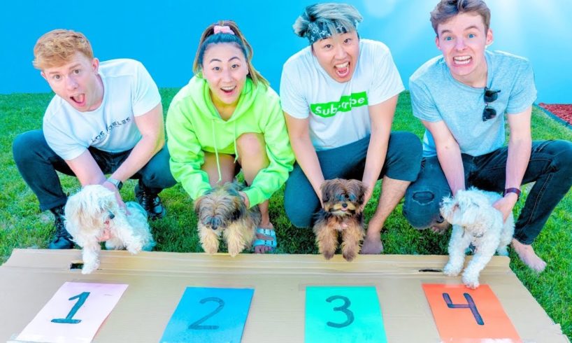 FASTEST PUPPY WINS $10,000 DOLLARS!!