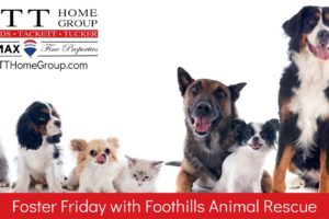 Foster Friday with Foothills Animal Rescue | 9/20/2019