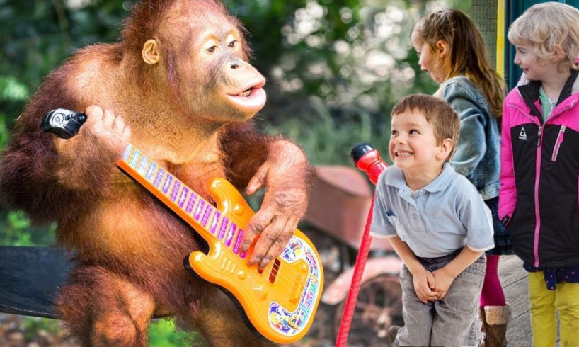 Orangutan at the Zoo Show - Wild Animals make fun at the Zoo - Wild animals Compilation