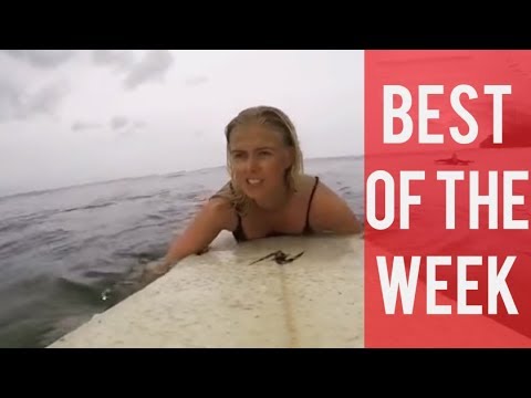 Surfer Girl Fail and other fails! || Best fails of the week! || July 2018!