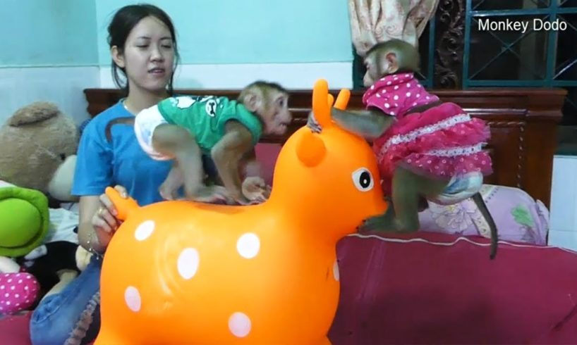 Wow Funny Video!! Dodo Mori Share Charming Animal Toy Play With Each Other