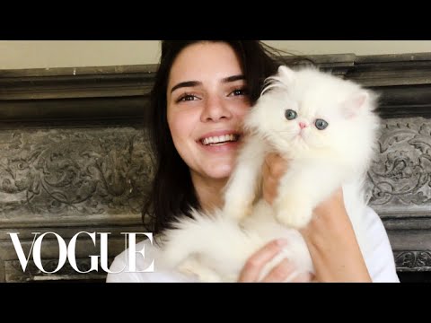 Kendall Jenner Plays with The World's Cutest Kitten | Vogue