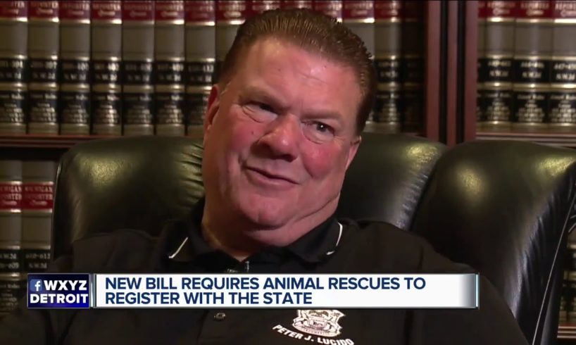 New bill requires animal rescue organizations to register with the state