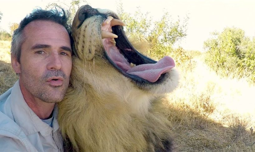 Animals Unique Bond | The Lion Whisperer