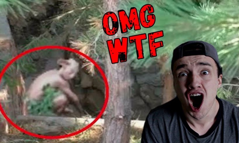 Top 5 Scariest Moments Caught On Camera Youtube Photos 