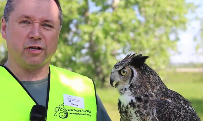 Wildlife Haven leasing new home for rescued animals from TransCanada