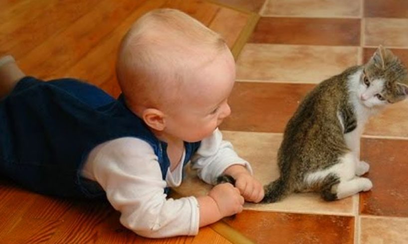 Cute Kittens and Babies Playing Together Compilation