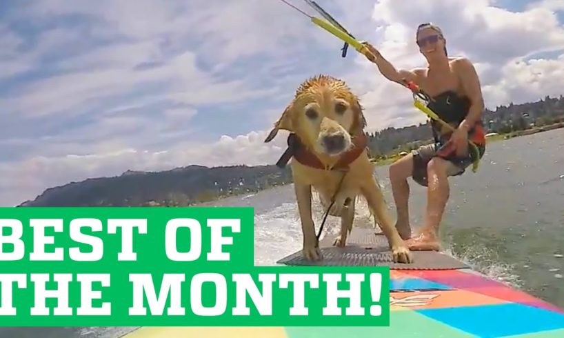 PEOPLE ARE AWESOME | BEST OF THE MONTH (SEPTEMBER 2015)