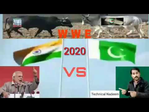 Pakistan Attacks India ! CrazyPakistan vs india Fight #Wwe animal  fight 2020