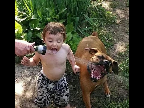 Cute Puppies and Babies Playing Together Compilation #2020