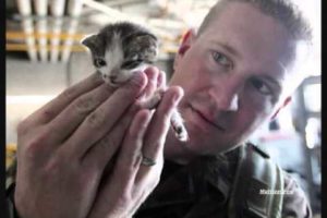 Rescuing Animals From Natural Disasters