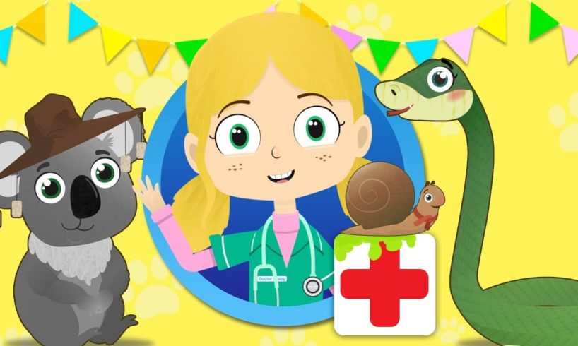 Shane The Koala Visits Dr Poppy's Pet Rescue | Animals For Children