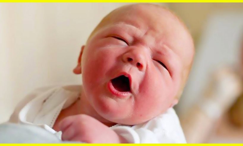 Top Videos Funniest Baby Of The Week #3 - Funny Baby Videos