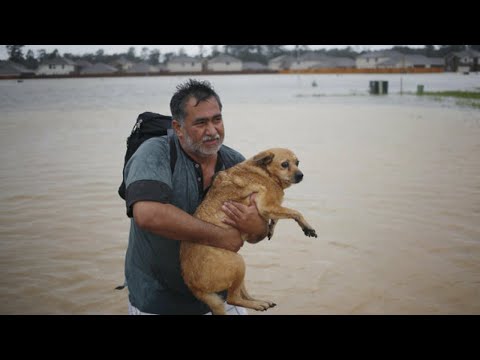 10 Most heartening Animal Rescues.