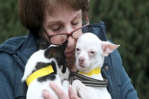 130 rescued animals need homes