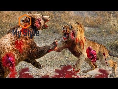 Biggest wild animal fights - Musical EPIC HD